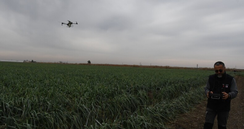 Mersin’de dronla gübreleme ve ilaçlama çiftçinin zayiatını sıfıra indirdi, zamandan tasarruf sağladı