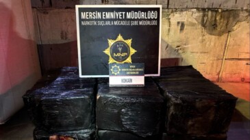 Mersin Limanı’ndaki 298 kilo kokainle ilgili 2 şüpheii gözaltına alındı