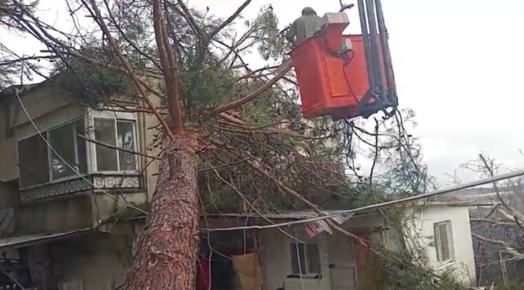 Mersin’de fırtına etkili oluyor: Ağaç evin üzerine devrildi