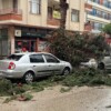 Mersin’de fırtına ve sağanak hayatı olumsuz etkiledi