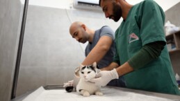 Mersin’de sokak kedileri için yeni merkez hizmete girdi