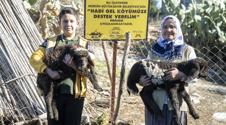 Mersin’de 360 yetiştiriciye 9 bin küçükbaş desteği