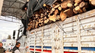 Mersin’de orman suçlarına eş zamanlı denetim