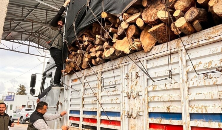 Mersin’de orman suçlarına eş zamanlı denetim