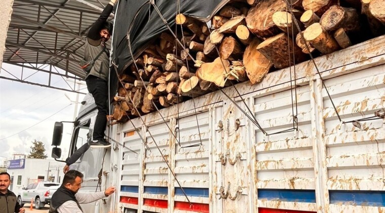 Mersin’de orman suçlarına eş zamanlı denetim