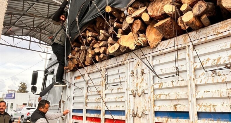 Mersin’de orman suçlarına eş zamanlı denetim