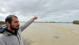 Tarsus’ta 8 bin dönüm tarım arazisi sular altında kaldı