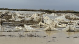 Tarsus’ta yağmur ve fırtına etkili oldu, seralar zarar gördü
