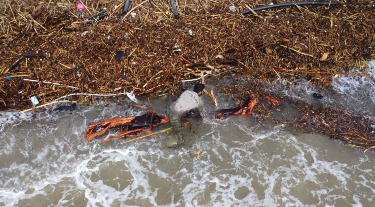 Sel sonrası ‘milyonluk’ yazlıkların önünde ‘ekmek’ mücadelesi