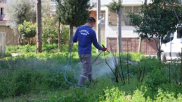 TOROSLAR’DA PARK VE YEŞİL ALANLAR BAKIMDAN GEÇİYOR