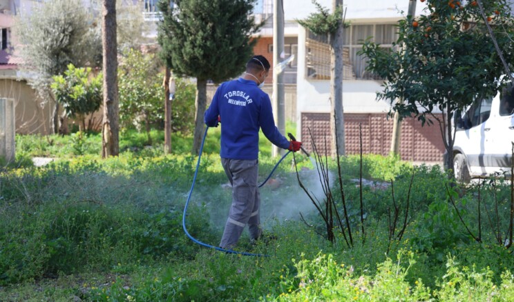 TOROSLAR’DA PARK VE YEŞİL ALANLAR BAKIMDAN GEÇİYOR