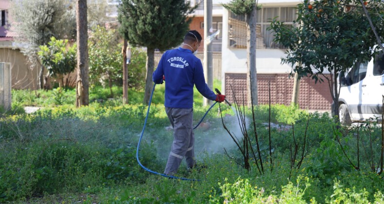 TOROSLAR’DA PARK VE YEŞİL ALANLAR BAKIMDAN GEÇİYOR