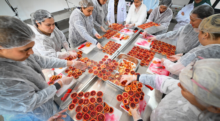 MERSİN BÜYÜKŞEHİR COĞRAFİ İŞARETLİ KAN PORTAKALI’NI KADIN EMEĞİ İLE GELECEĞE TAŞIYOR BÜYÜKŞEHİR’İN KÖYÜMÜZ ATÖLYE PROJESİYLE KADIN EMEĞİ PROFESYONEL ÜRETİME DÖNÜŞÜYOR