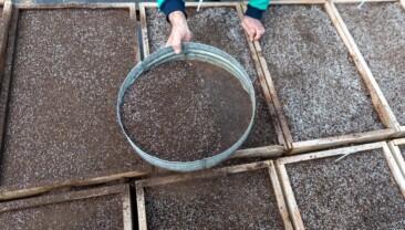 Mersin’in geleceği bu havzada yeşeriyor Yenişehir’de ‘Ekolojik Tarım’ hamlesi 10 bin tıbbi ve aromatik bitki toprağa ekildi