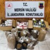 Mersin’de kaçak makaron operasyonu: 2 gözaltı