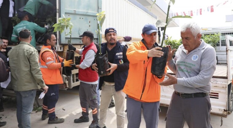 Mersin’de üreticiye avokado fidanı ve destek dağıtımı