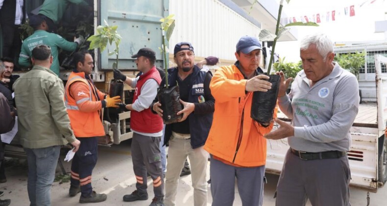 Mersin’de üreticiye avokado fidanı ve destek dağıtımı