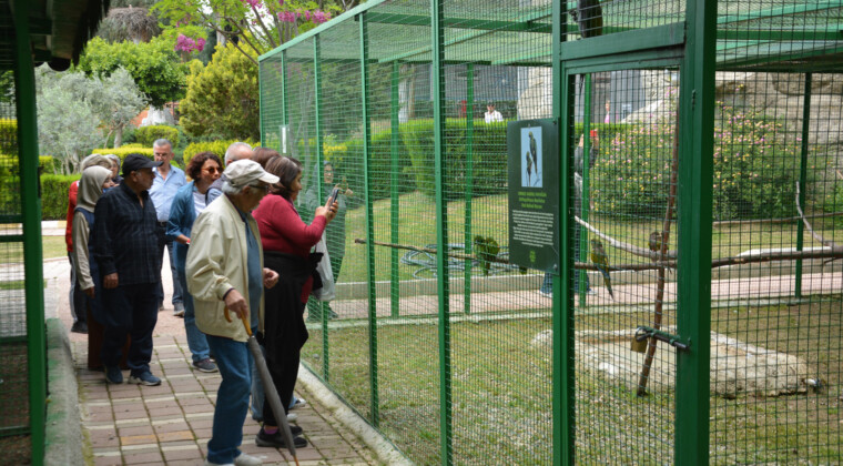 MERSİN BÜYÜKŞEHİR, EMEKLİLERİ DOĞAYLA BULUŞTURUYOR