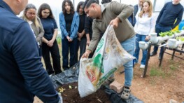 Yenişehir’den eğitime ‘Yeşil’ destek Yeşil okul, akıllı tarım Geleceğin tarımı okul bahçesinde!