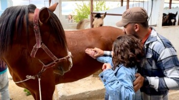 Otizmli çocuklara atla terapi desteği