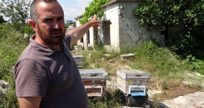 KAMERA ŞÜPHELİNİN FOTOĞRAFINI ÇEKTİ: ARILIĞA GİREN ŞAHIS, KAMERAYA ZARAR VERDİ