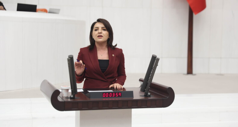“SORULARA CEVAP YOK, SAYFALAR DOLUSU HİKÂYE VAR” CHP’Lİ GÜLCAN KIŞ’TAN BAKANLIĞA TEPKİ: “VERİ İSTEDİK, NUTUK GELDİ”
