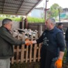 Kurbanlıklar satışa çıktı, pazarlıklar kızıştı