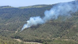 MERSİN’DE ORMAN YANGINI: EKİPLERİN MÜDAHALESİYLE KONTROL ALTINA ALINDI