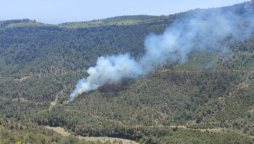 MERSİN’DE ORMAN YANGINI: EKİPLERİN MÜDAHALESİYLE KONTROL ALTINA ALINDI