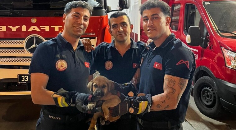 OTOMOBİLİN MOTORUNA SIKIŞAN YAVRU KÖPEĞİ İTFAİYE KURTARDI