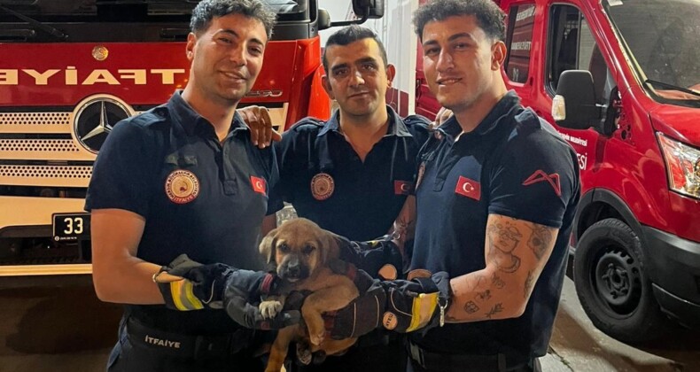 OTOMOBİLİN MOTORUNA SIKIŞAN YAVRU KÖPEĞİ İTFAİYE KURTARDI